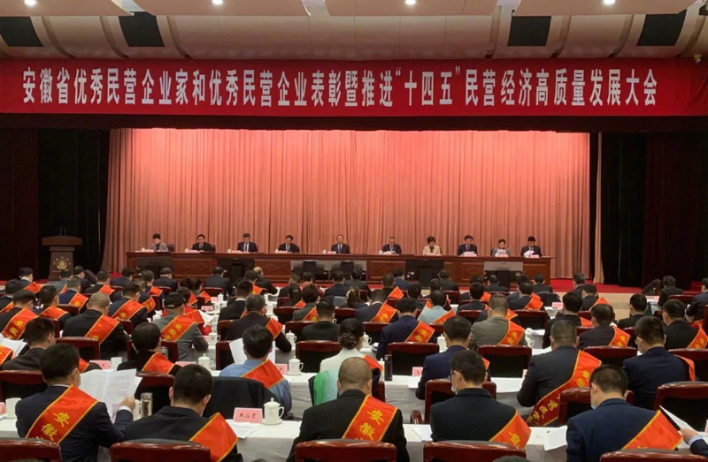 喜讯！am8亚美科技总经理梁燕被授予“安徽省优秀民营企业家”称号