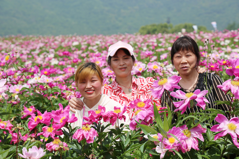 幸福am8亚美-让am8亚美一起相约美好 看繁花似锦