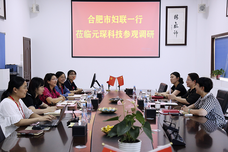 合肥市妇联第一调研组赴am8亚美科技调研指导